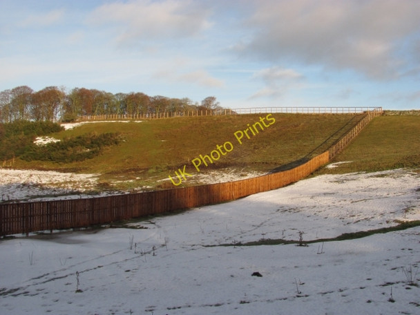 Photo 6"x4" A new fence, Grantshouse Grantshouse c2011