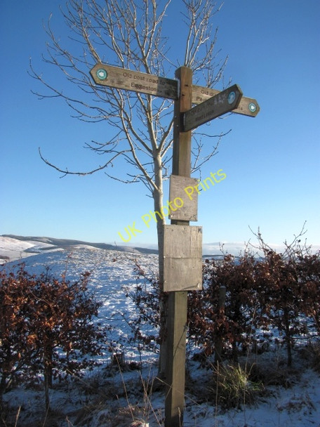 Photo 6"x4" Footpath sign Cringletie c2011