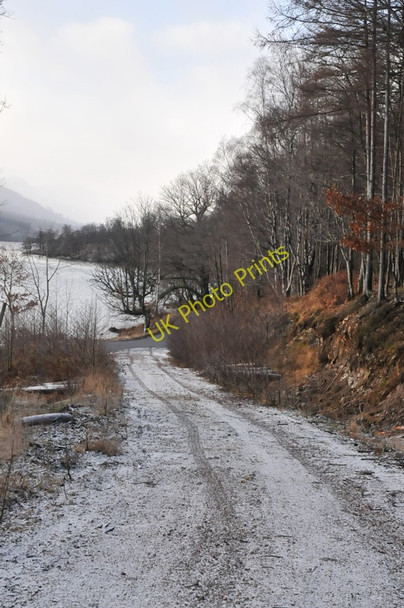 Photo 6"x4" Forestry road at Loch Arkaig Achnacarry c2011