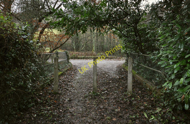 Photo 6"x4" A bridge over Bradiford Water near Blakewell Mill Farm Barnstaple c2011