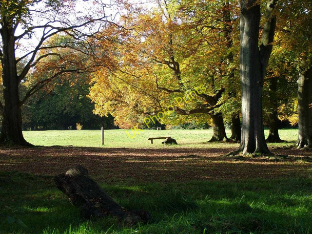 Photo 6"x4" Donkey Green at Box Hill - National Trust Dorking c2007