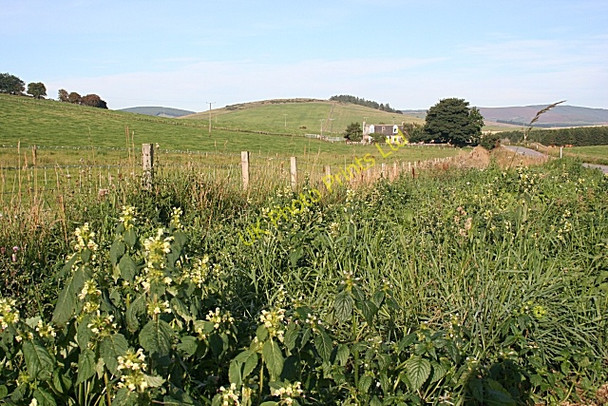 Photo 6"x4" Little Lynturk Muir of Fowlis c2006