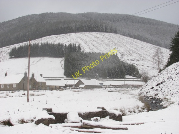 Photo 6"x4" Williamslee Burn Williamslee c2011