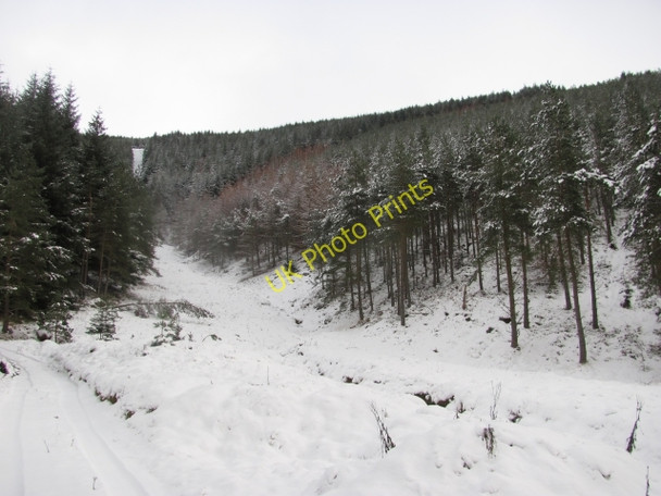 Photo 6"x4" Ride, Williamslee Hope Williamslee c2011