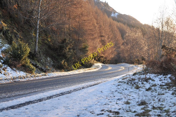 Photo 6"x4" B852 along the shore of Loch Ness Strone\/NH5228 c2011