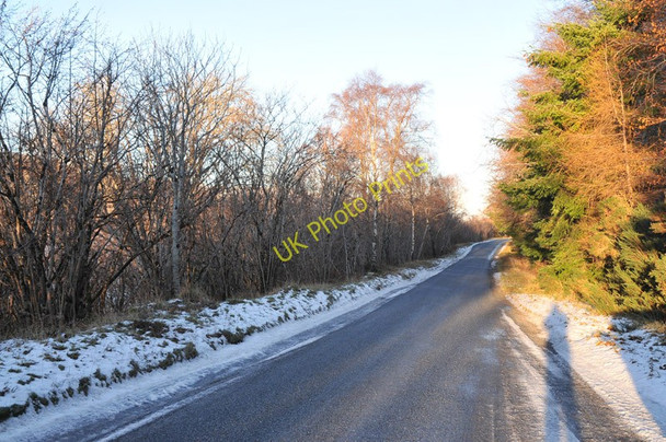 Photo 6"x4" B852 along the shore of Loch Ness Strone\/NH5228 c2011