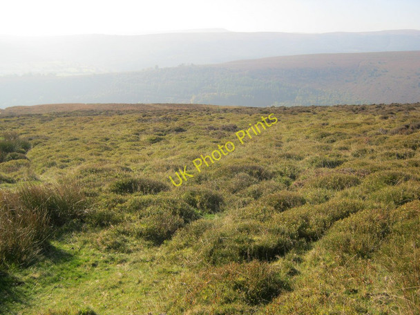 Photo 6"x4" Moorland above Cwmyoy Cwmyoy c2010