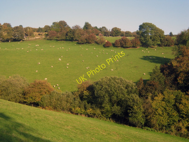 Photo 6"x4" Sheep pasture near Lower Pentwyn Groes-lwyd\/SO3222 c2010