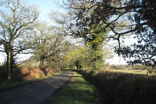Photo 6"x4" Smiths Lane Bentley Heath\/SP1675 c2011