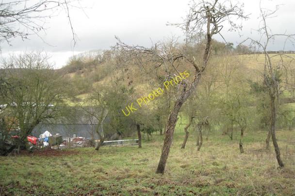Photo 6"x4" Orchard, Orchard Farm, Ardens Grafton Ardens Grafton c2011