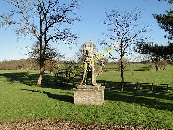 Photo 6"x4" The park at Sibton Hall Hemp Green c2011