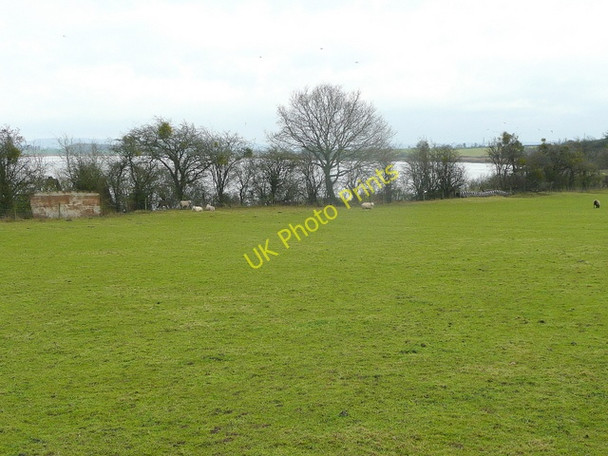 Photo 6"x4" Pasture by the Severn Bullo c2009