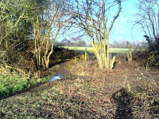 Photo 6"x4" Footpath towards Holton Wood Forest Hill\/SP5807 c2011