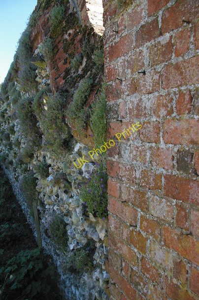 Photo 6"x4" Polesden Lacey: herb garden wall Polesden Lacey c2010