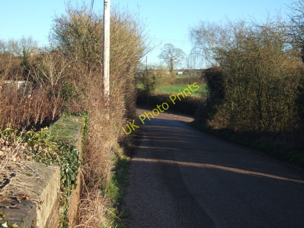 Photo 6"x4" Road to Talaton Larkbeare c2011
