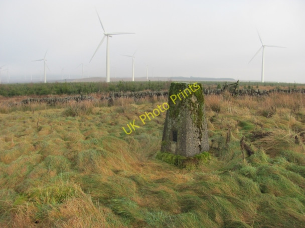 Photo 6"x4" Hill of Westerhouse Yieldshields c2011