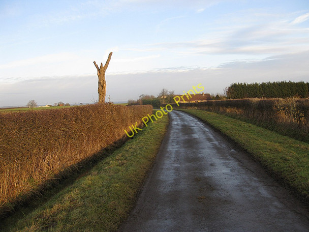 Photo 6"x4" Not the Angel of the North Normanby\/SE7381 c2011