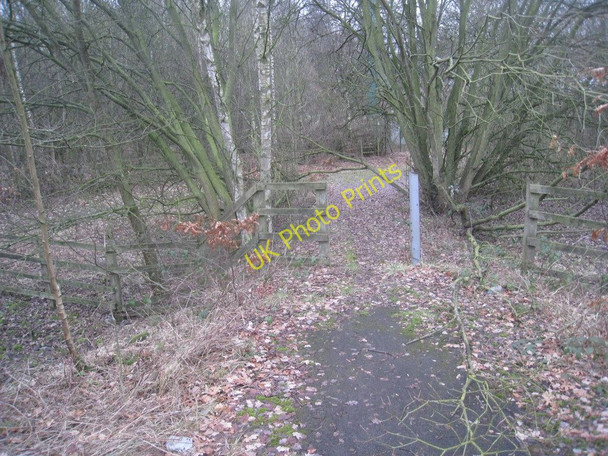 Photo 6"x4" Path to Ermine Street Scawby c2011