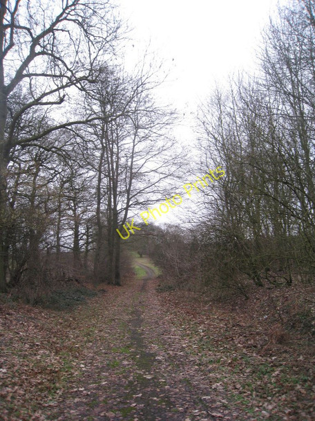 Photo 6"x4" Ermine Street Scawby c2011