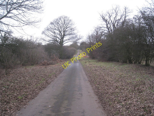 Photo 6"x4" Ermine Street Scawby c2011