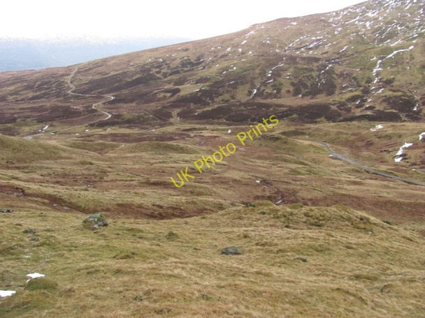 Photo 6"x4" Rough grazing, Ben Lawers Milton Morenish c2011
