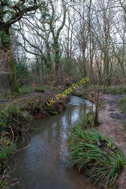 Photo 6"x4" Stream through Ridge Copse Curbridge\/SU5211 c2011