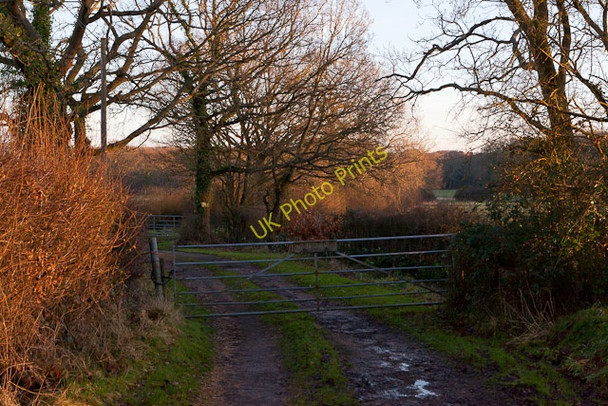 Photo 6"x4" Entrance to Whiteley Farm Burridge\/SU5110 c2011