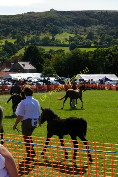 Photo 6"x4" Rosedale Show Rosedale Abbey c2005 P6