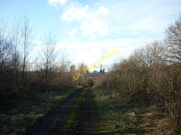 Photo 6"x4" Walking towards Santon near Scunthorpe Santon\/SE9212 c2011