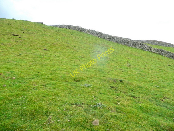 Photo 6"x4" Pastoral hillside Healaugh\/SE0199 c2010
