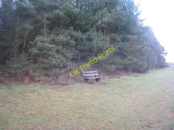 Photo 6"x4" Seat on the edge of Rowland Plantation Broughton Common c2011