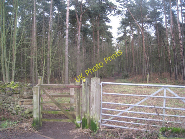 Photo 6"x4" Entrance to Rowland Plantation and the footpath to Broughton Appleby\/SE9514 c2011
