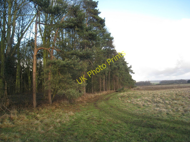 Photo 6"x4" Woodland edge near Lodge Farm Broughton Common c2011