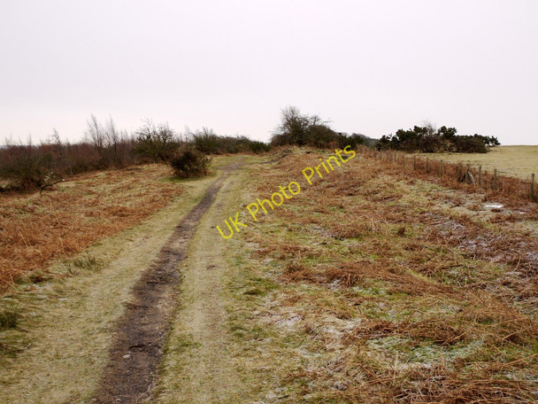 Photo 6"x4" Path on former Loud Waggonway Annfield Plain c2011