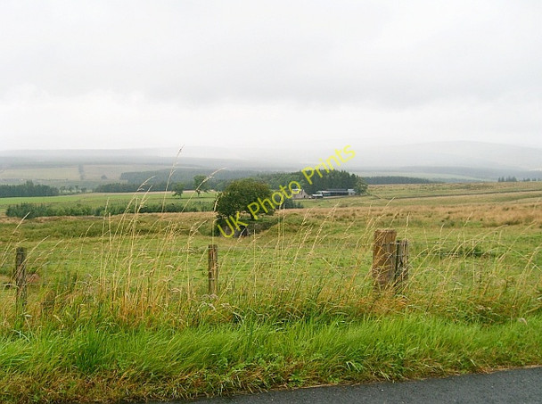 Photo 6"x4" Lime Kiln with trees on top Kershopefoot c2007