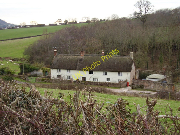 Photo 6"x4" Brook farm Sidford c2011