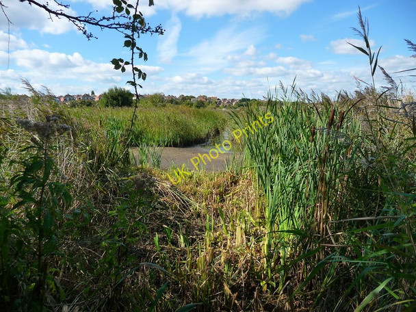 Photo 6"x4" Weymouth - Radipole Lake Weymouth\/SY6779 c2010