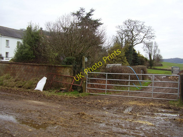 Photo 6"x4" Footpath to Sidford Sidbury\/SY1391 c2011