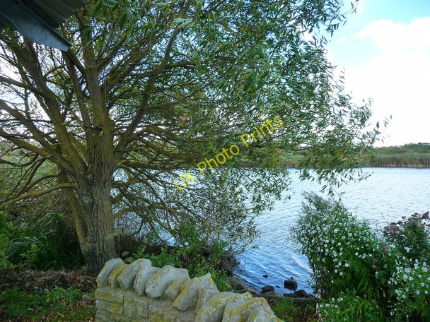 Photo 6"x4" Weymouth - Radipole Lake Weymouth\/SY6779 c2010