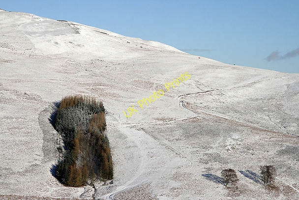 Photo 6"x4" Peat Law Yair c2011