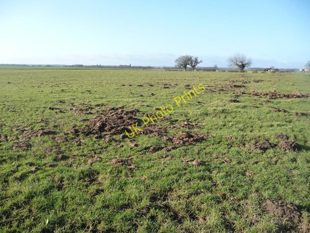 Photo 6"x4" Rough grazing, near Bedale Aiskew c2011
