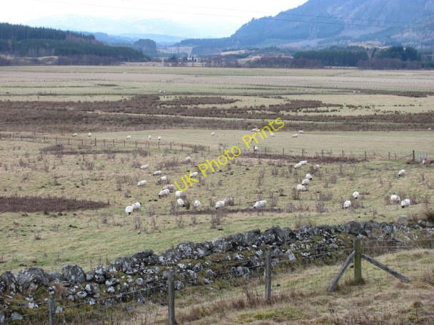 Photo 6"x4" Spey flood plain, Blargie Gergask c2011