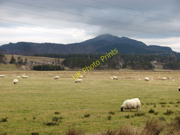 Photo 6"x4" Spey flood plain Balgowan\/NN6394 c2010
