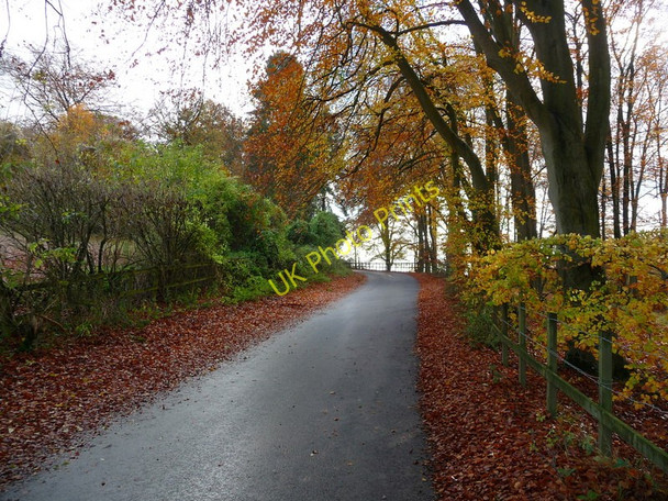 Photo 6"x4" Andover Down - Middleway Andover Down c2010