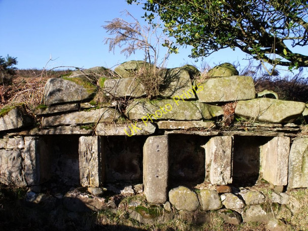 Photo 6"x4" Wester Barnego (ruin) Bee Boles Denny c2011