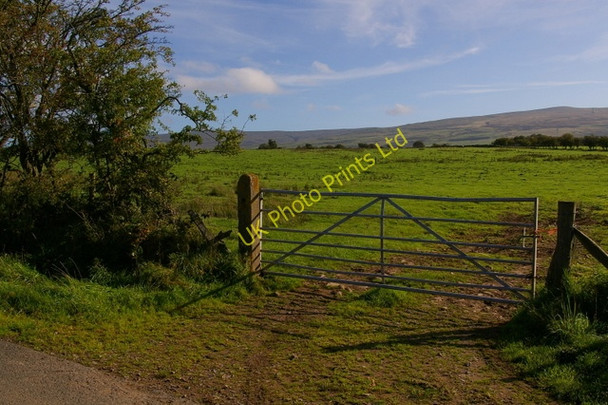 Photo 6"x4" Viol Moor Unthank\/NY6040 c2006