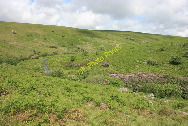 Photo 6"x4" River Avon Valley near Woolholes Didworthy c2008