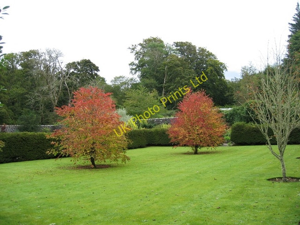 Photo 6"x4" Dunvegan Castle Gardens Garrachan c2006