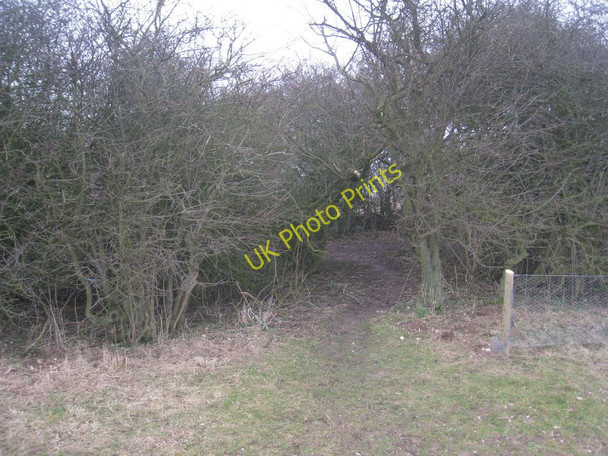 Photo 6"x4" Approaching Green Lane Wetwang c2011