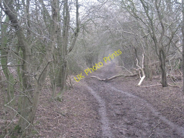 Photo 6"x4" Not much green in Green Lane Wetwang c2011